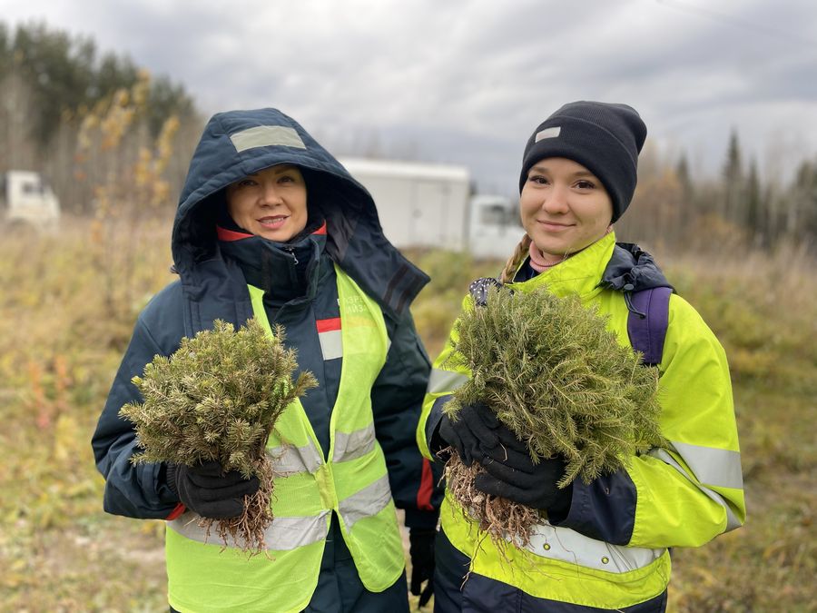 Kiyzassky Open-Pit Mine Plants 260,000 Trees on Forest Lands in 2024