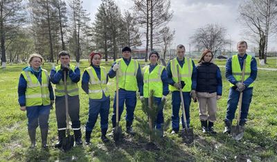 В память о предках: «Разрез Кийзасский» высадил 200 деревьев в Мысках