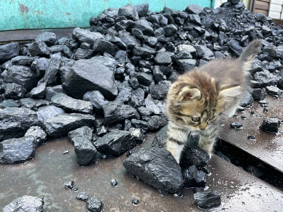 «Разрез Кийзасский» начал ежегодное выделение угля городу Мыски